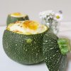 recette courgettes farcies chèvre