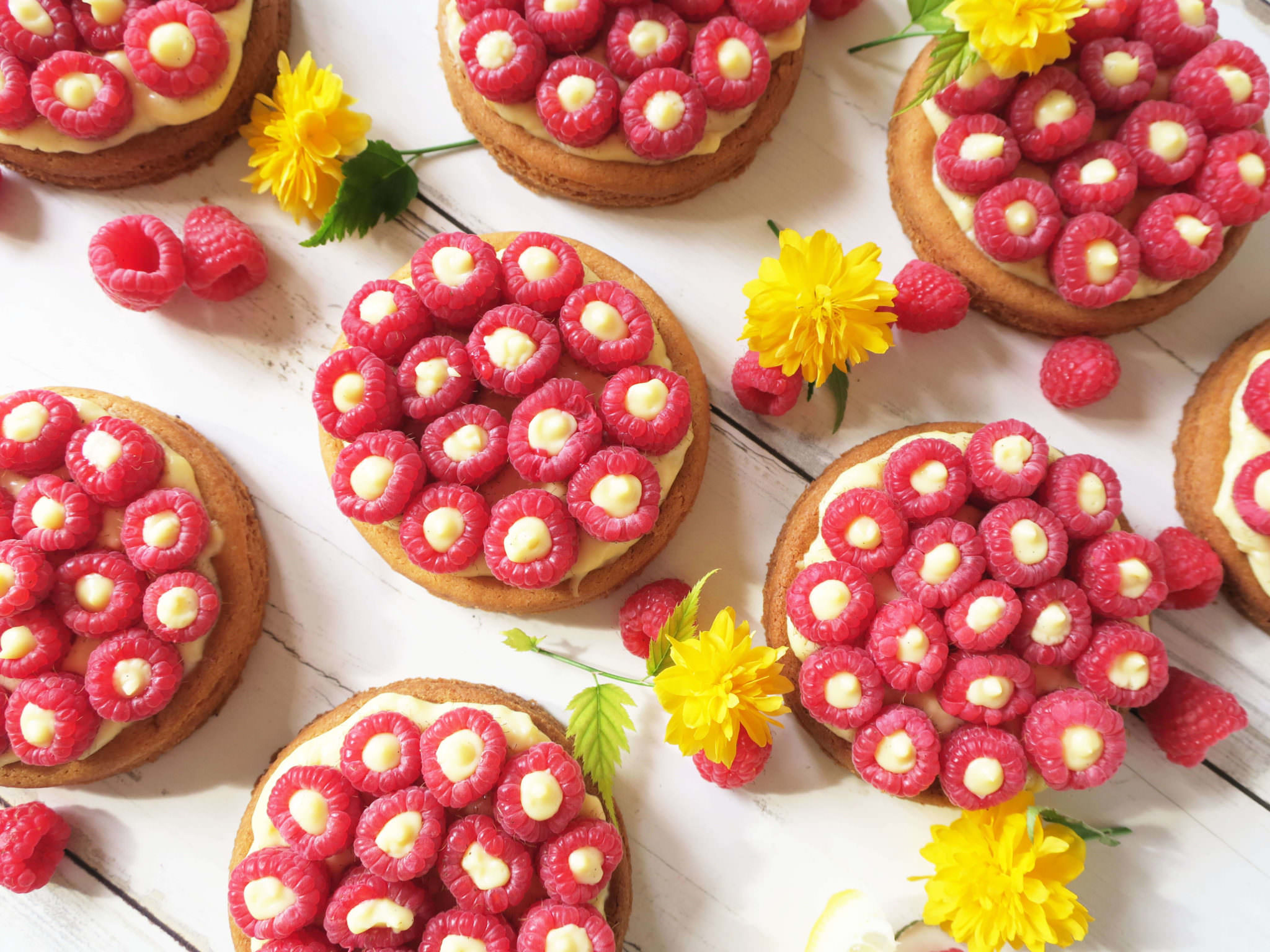 recette tartelettes aux framboises