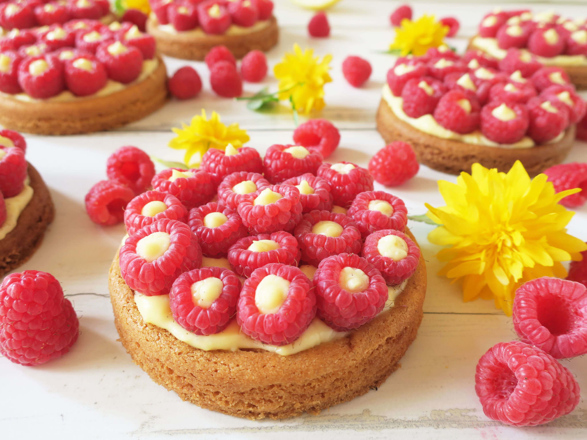 recette tartelettes aux framboises