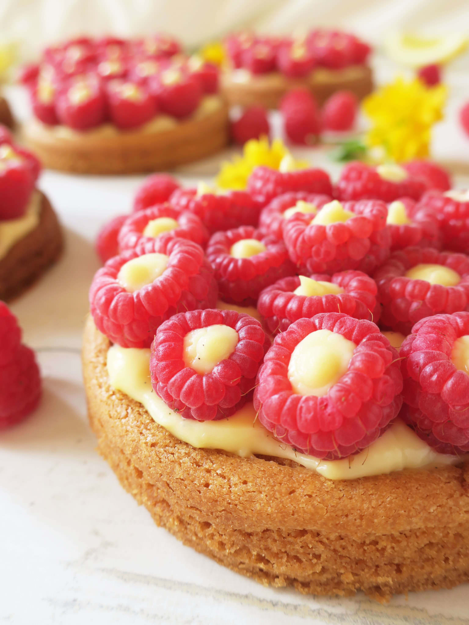 recette tartelettes aux framboises