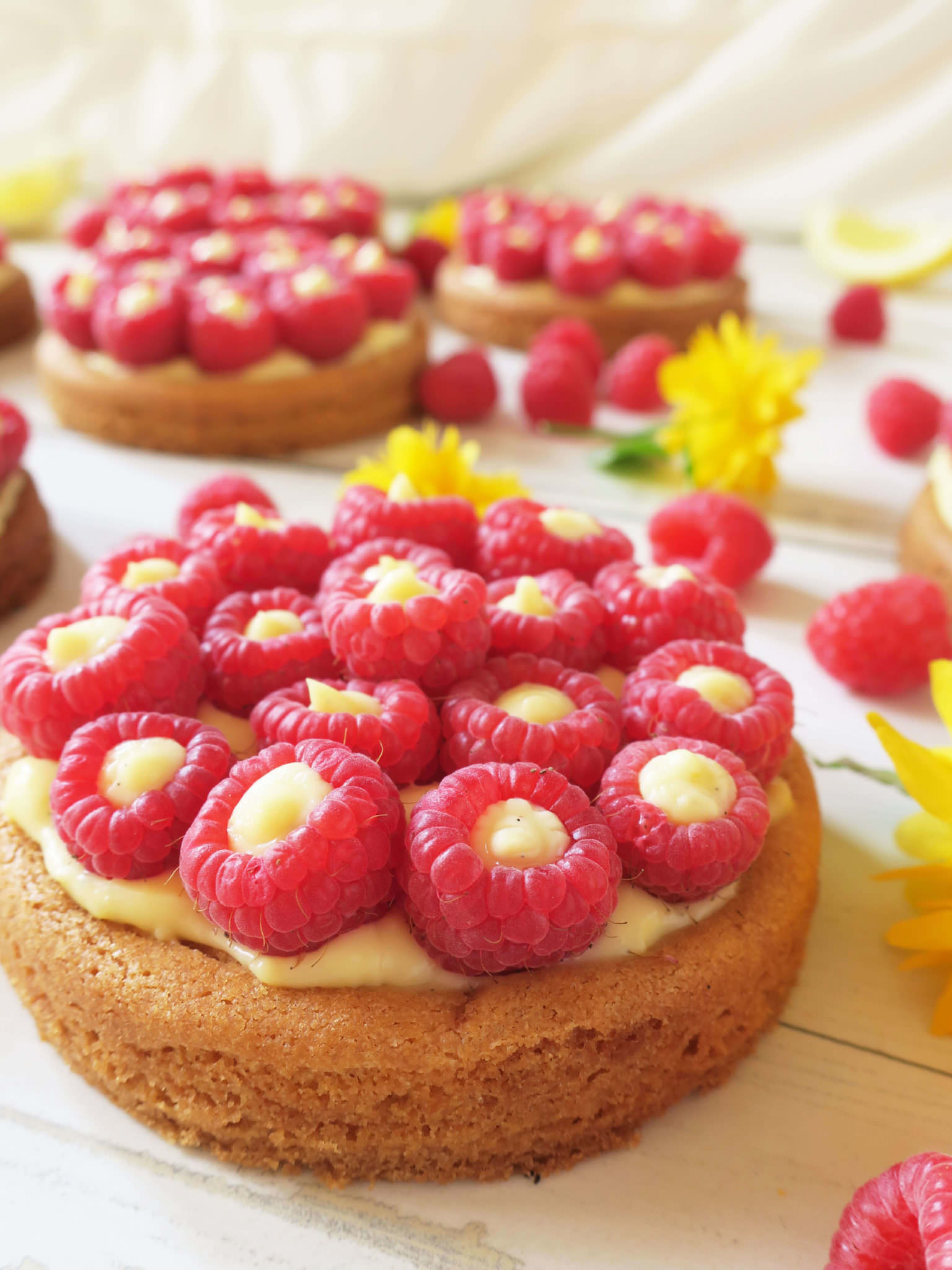 recette tartelettes aux framboises