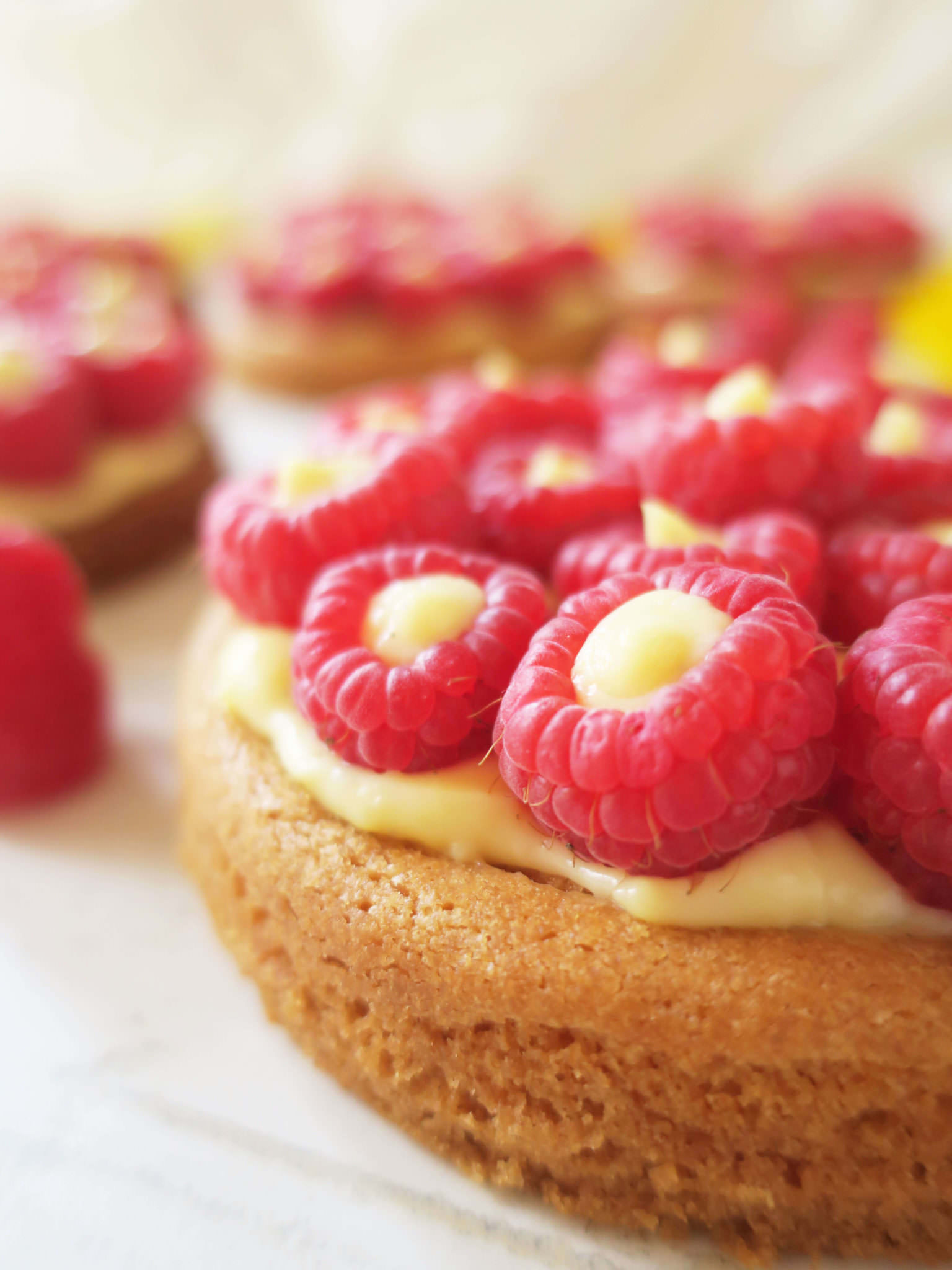 recette tartelettes aux framboises