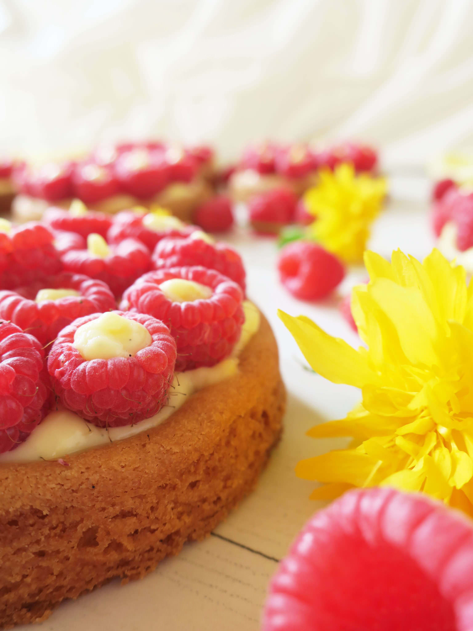 recette tartelettes aux framboises