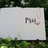 DIY bullet journal mai