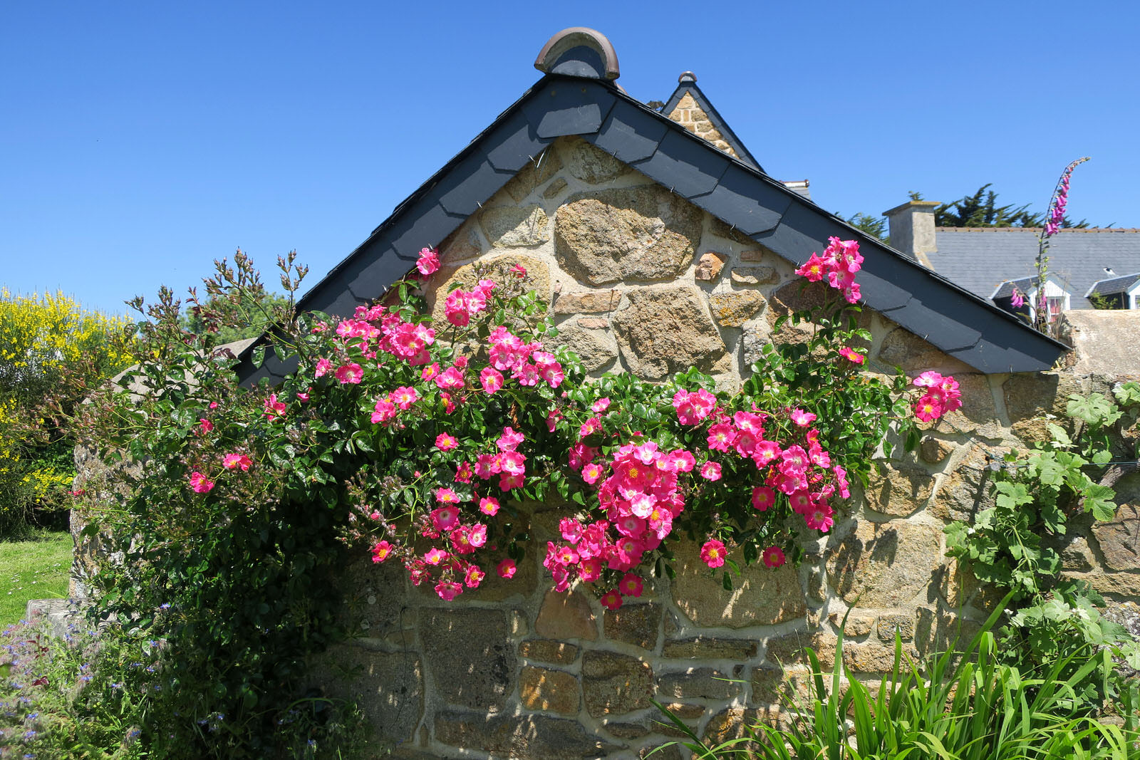 ile aux fleurs