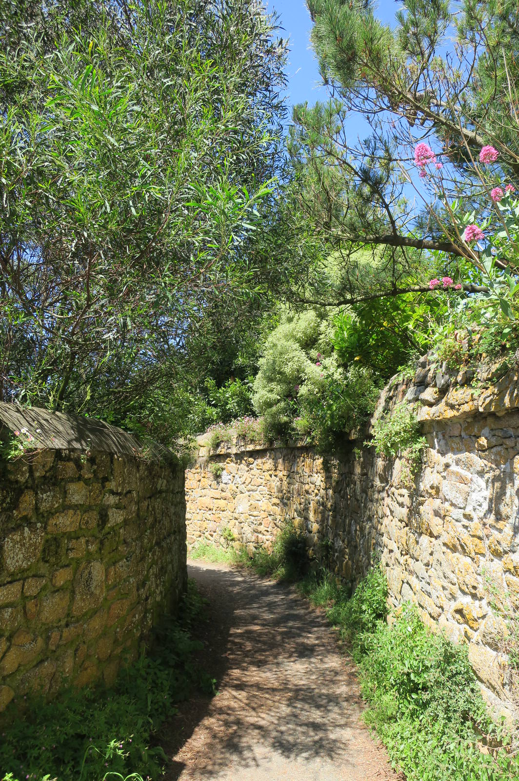 Île de bréhat