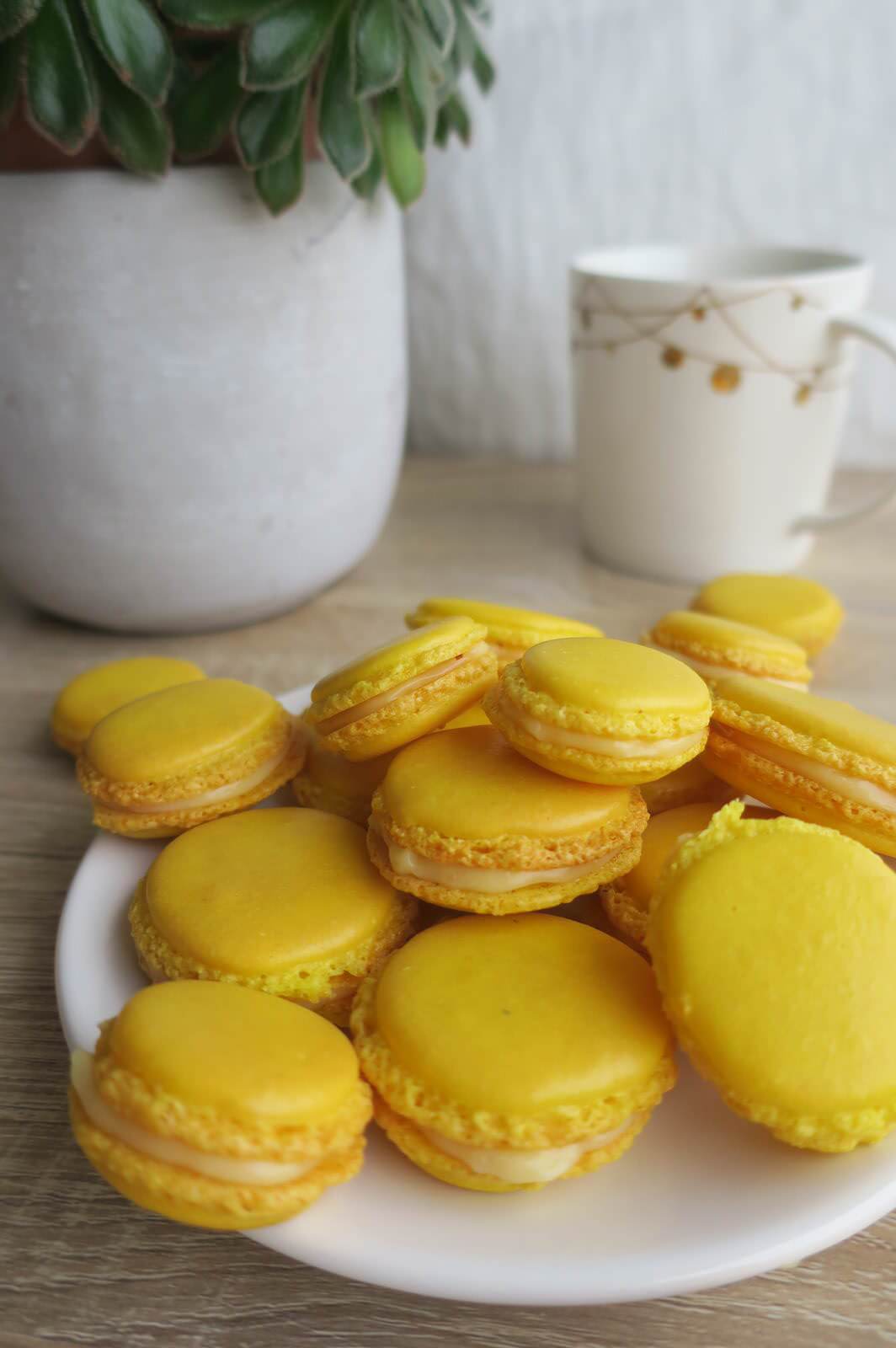 macarons au citron