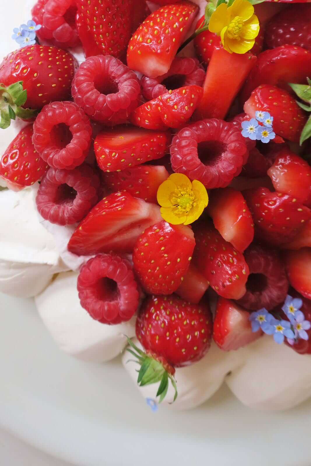 pavlova aux fruits rouges